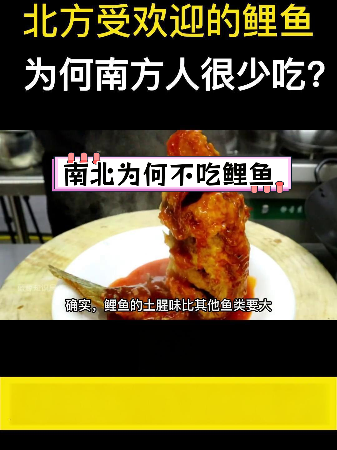 南北鲤鱼差异大揭秘