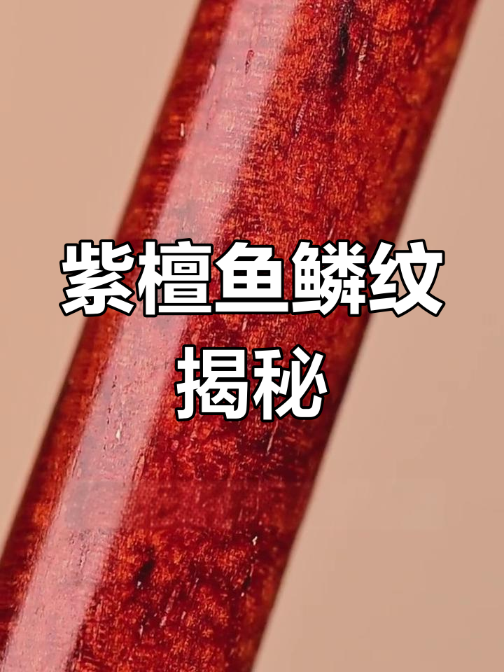 小叶紫檀鱼鳞纹:独特纹理的秘密与魅力