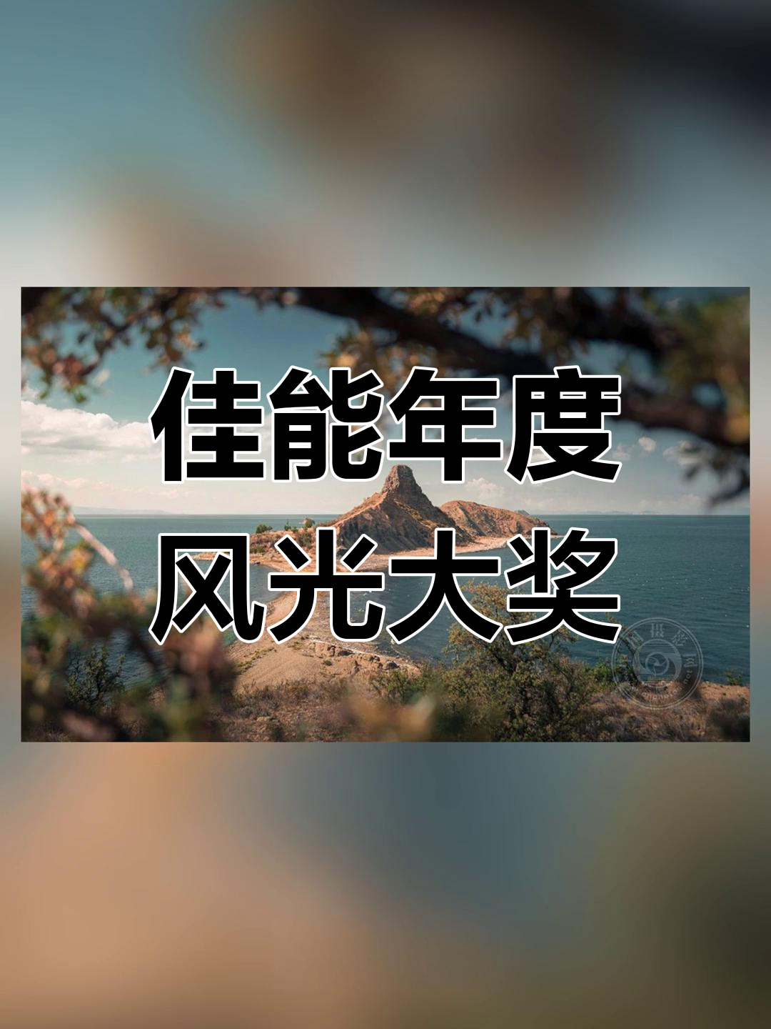 佳能2024世界摄影大赛获奖作品:捕捉真实风景与情感