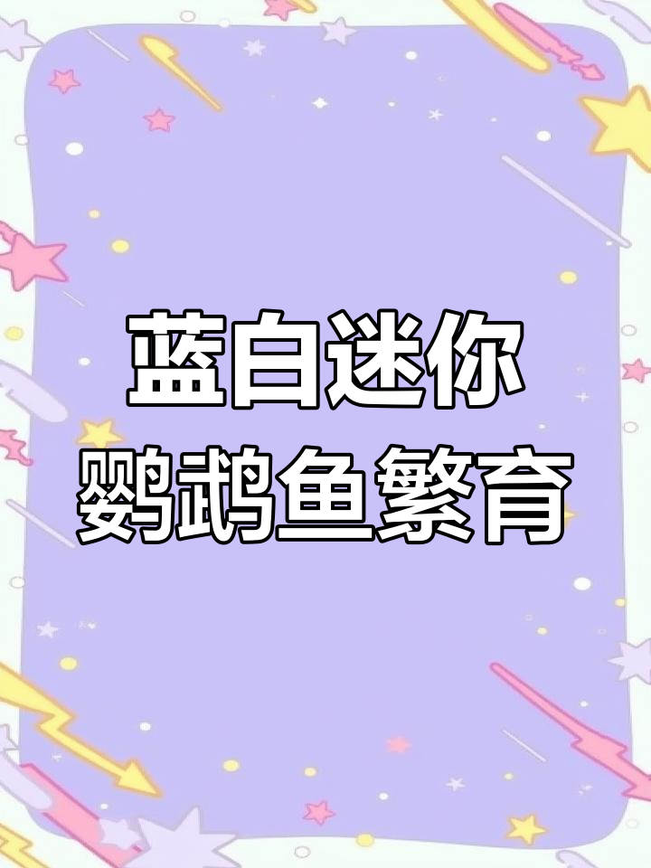 蓝色和白色迷你鹦鹉鱼能生出什么颜色?繁殖缸全攻略