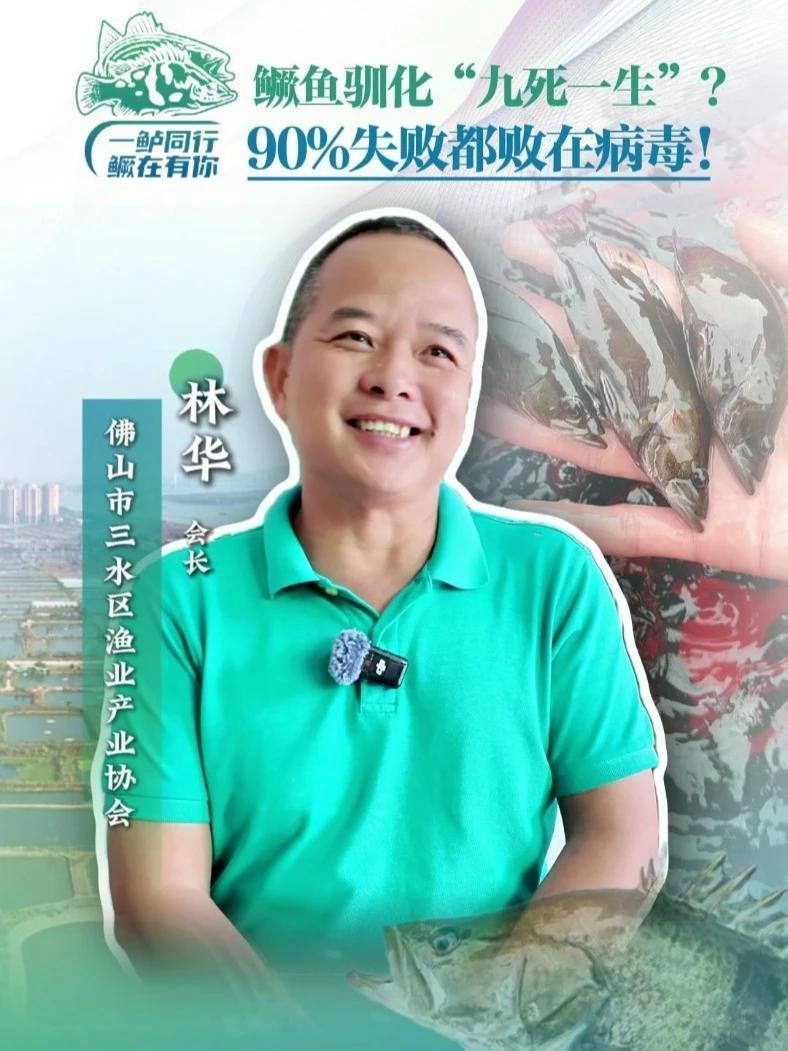 鳜鱼驯化“九死一生”？90%失败都败在#病毒！5月9日，佛山三水#第八届中国鳜鲈产业论坛·