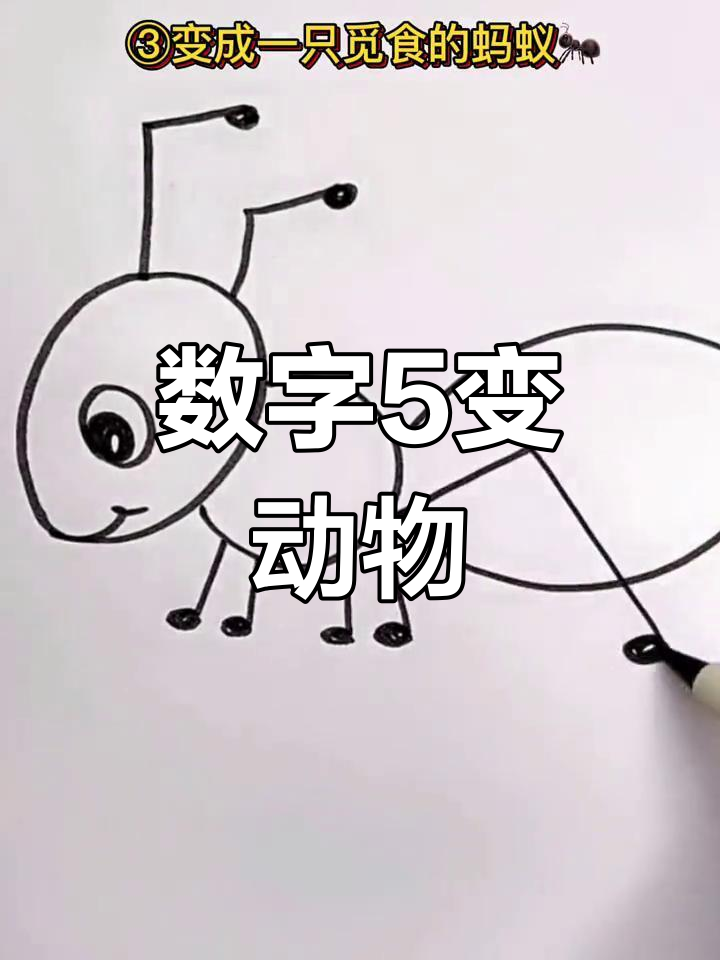 用数字5画可爱动物,挑战卡通简笔画