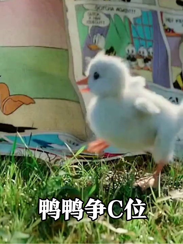 小鸭子闯进漫画世界，单脚站立嘎嘎叫争当主角