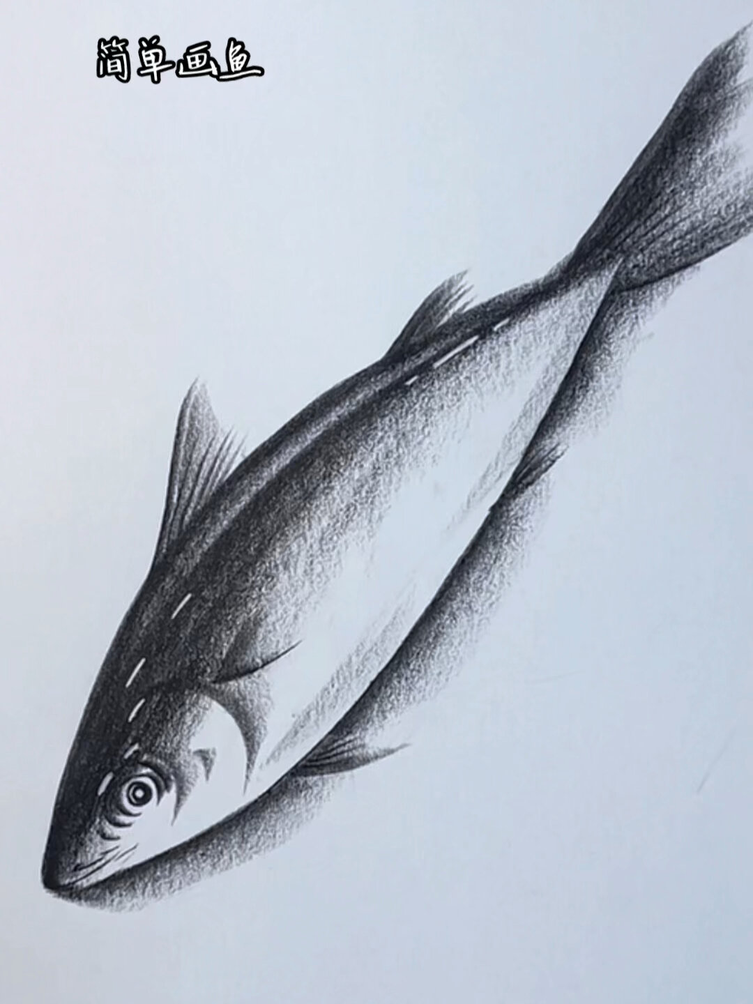 简单画鱼
