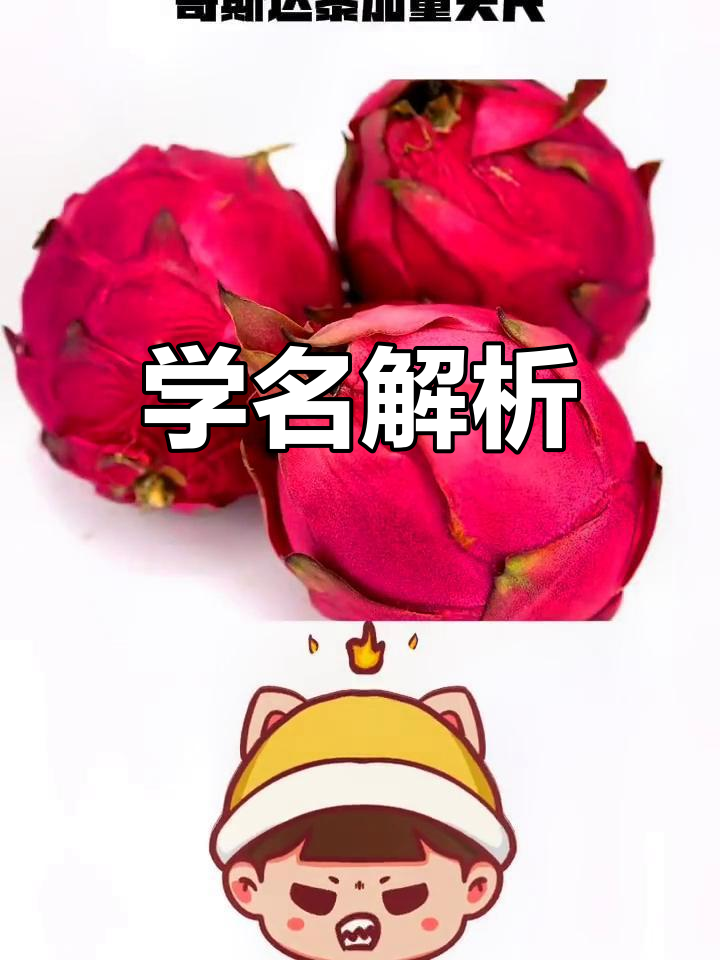 常见水果蔬菜的学名大揭秘