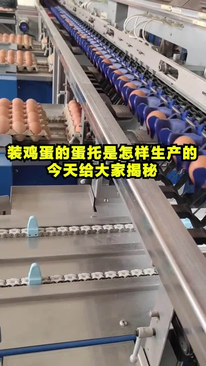 保护鸡蛋的蛋托是怎么来的?其实也不是什么大秘密 全自动蛋托机 蛋托设备 这操作你学会了吗