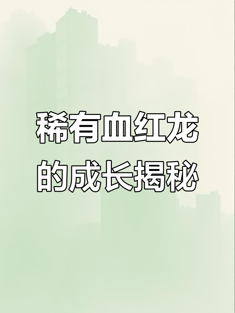 血红龙：从橘黄到深红，十年蜕变成就观赏奇迹