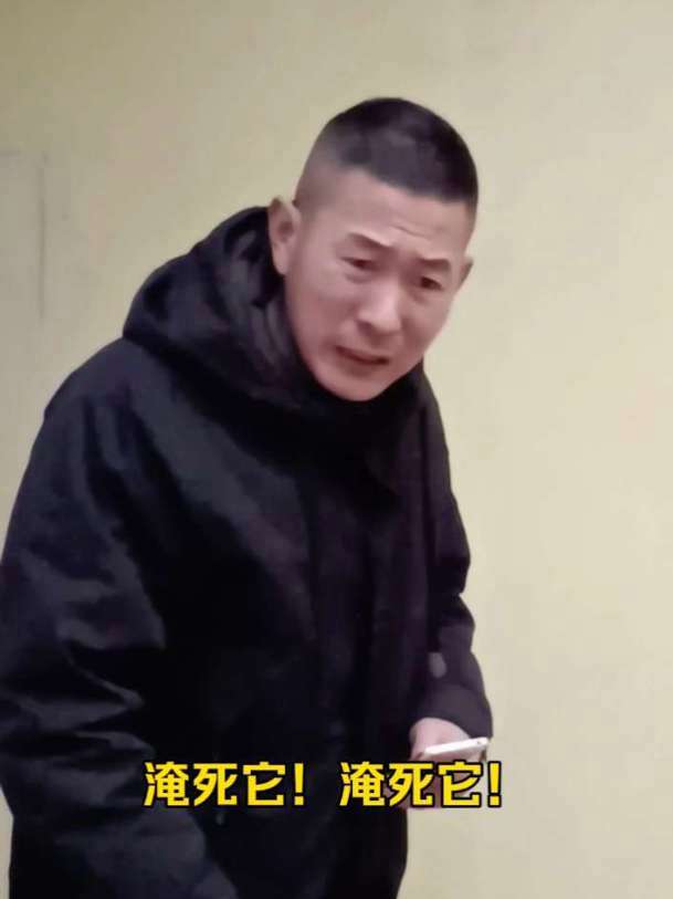 大鹅抓黄鼠狼！#动物的迷惑行为#神奇动物在抖音#吴二郎的搞笑萌宠 #青年创作者扶持计划