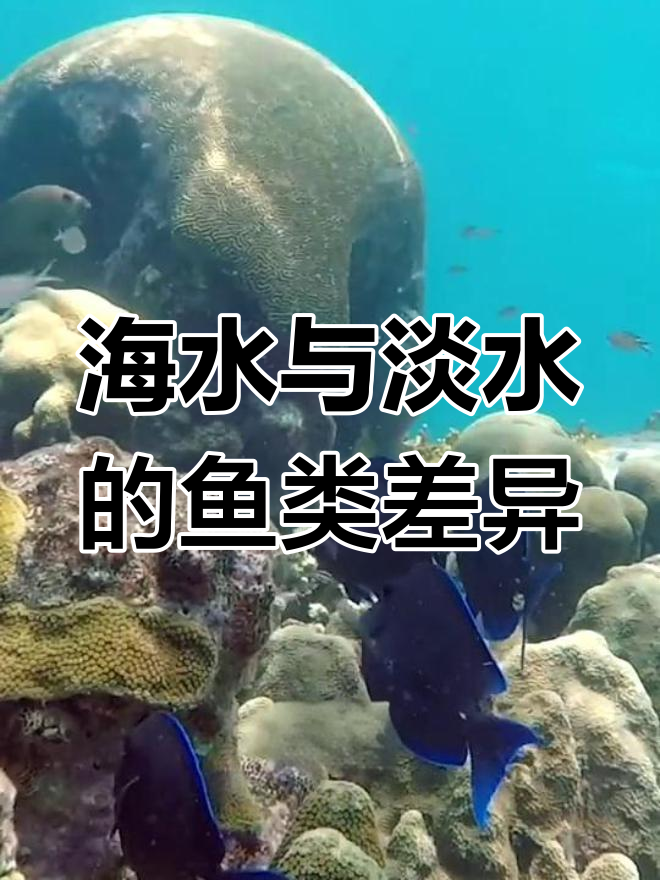 淡水鱼为何不喝水?海水鱼的秘密