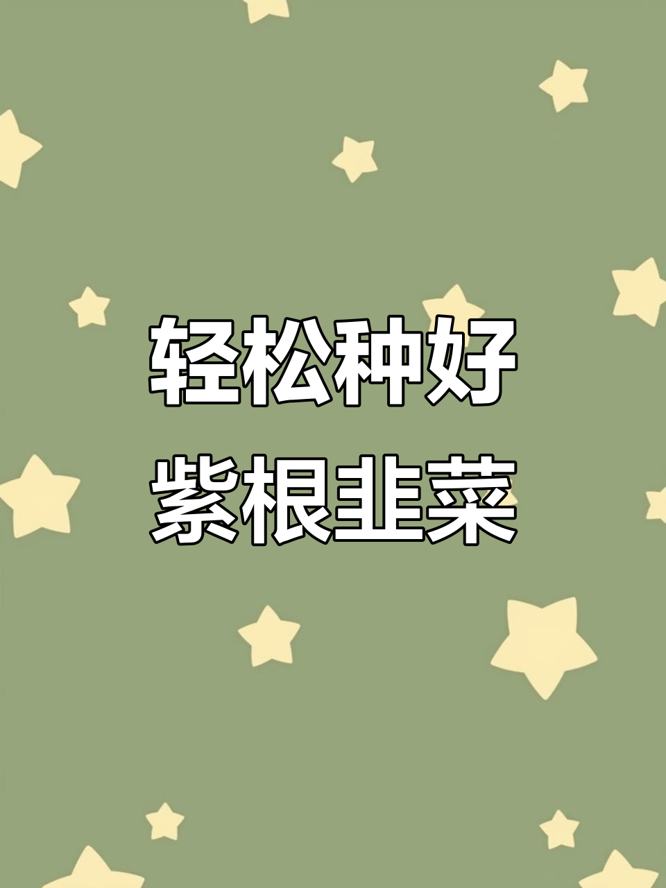 三步教你种出紫根宽叶韭菜,简单又高效