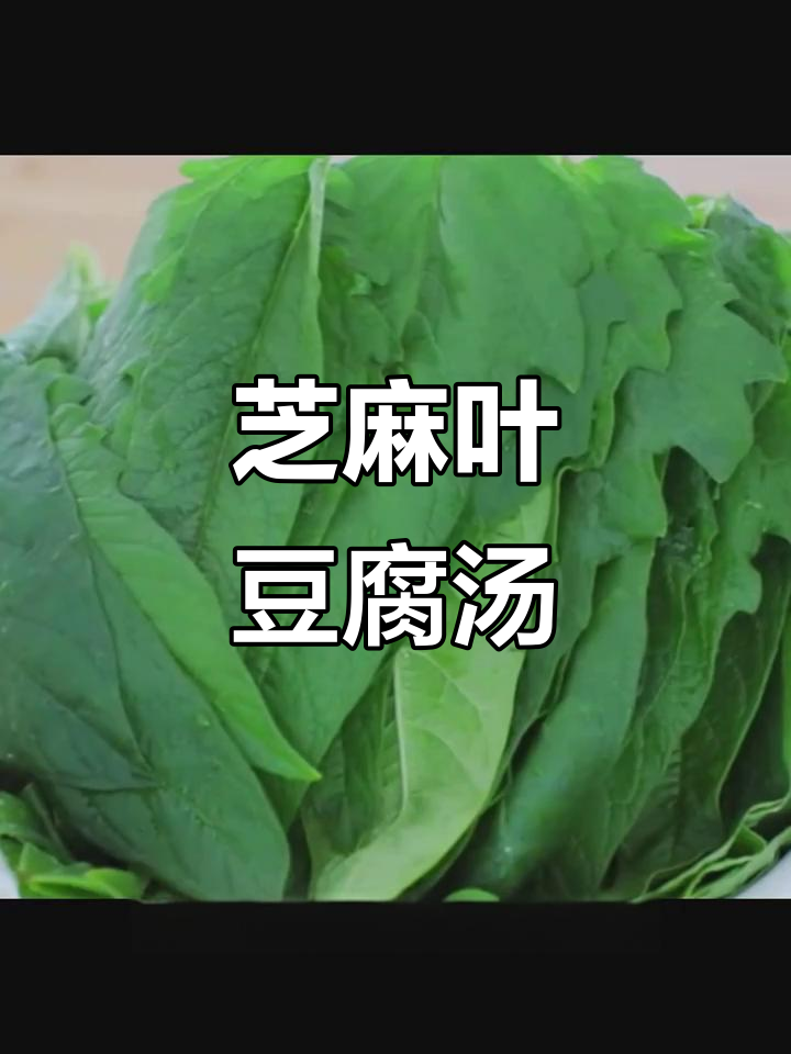 芝麻叶豆腐汤,家常美味轻松做