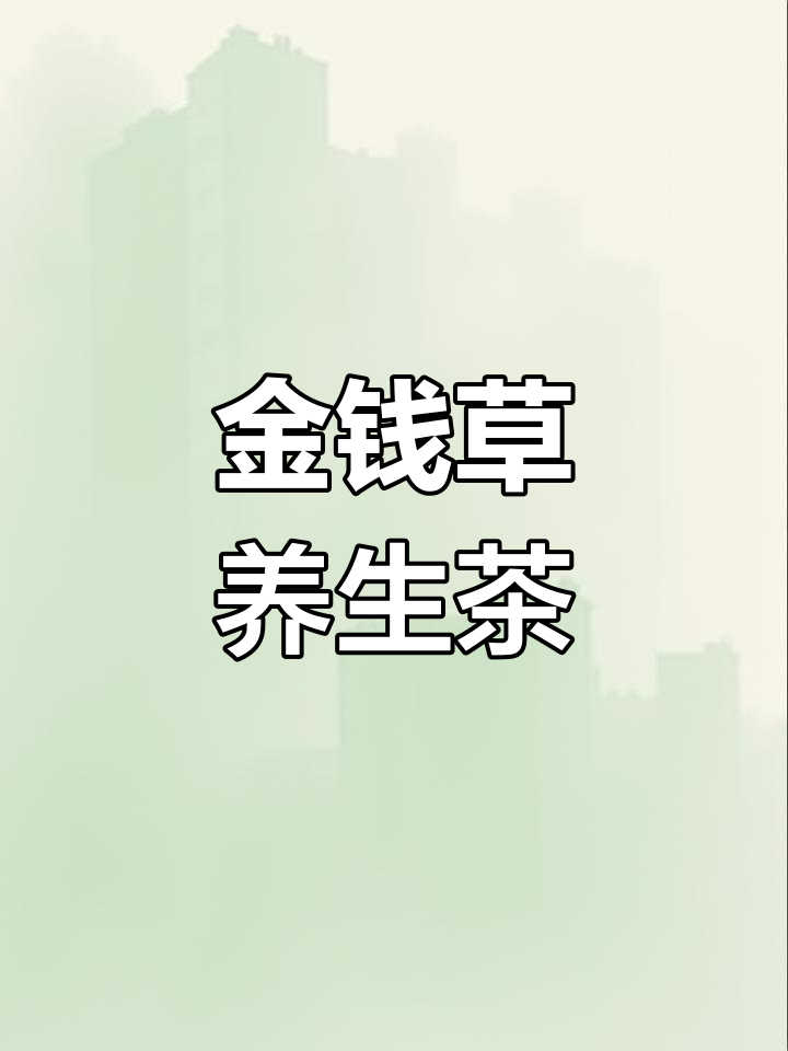 野生金钱草,泡茶养生,大叶草本,天然健康