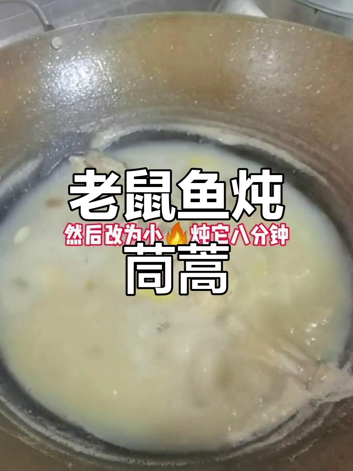 老鼠鱼炖茼蒿,教你如何处理这种奇特食材