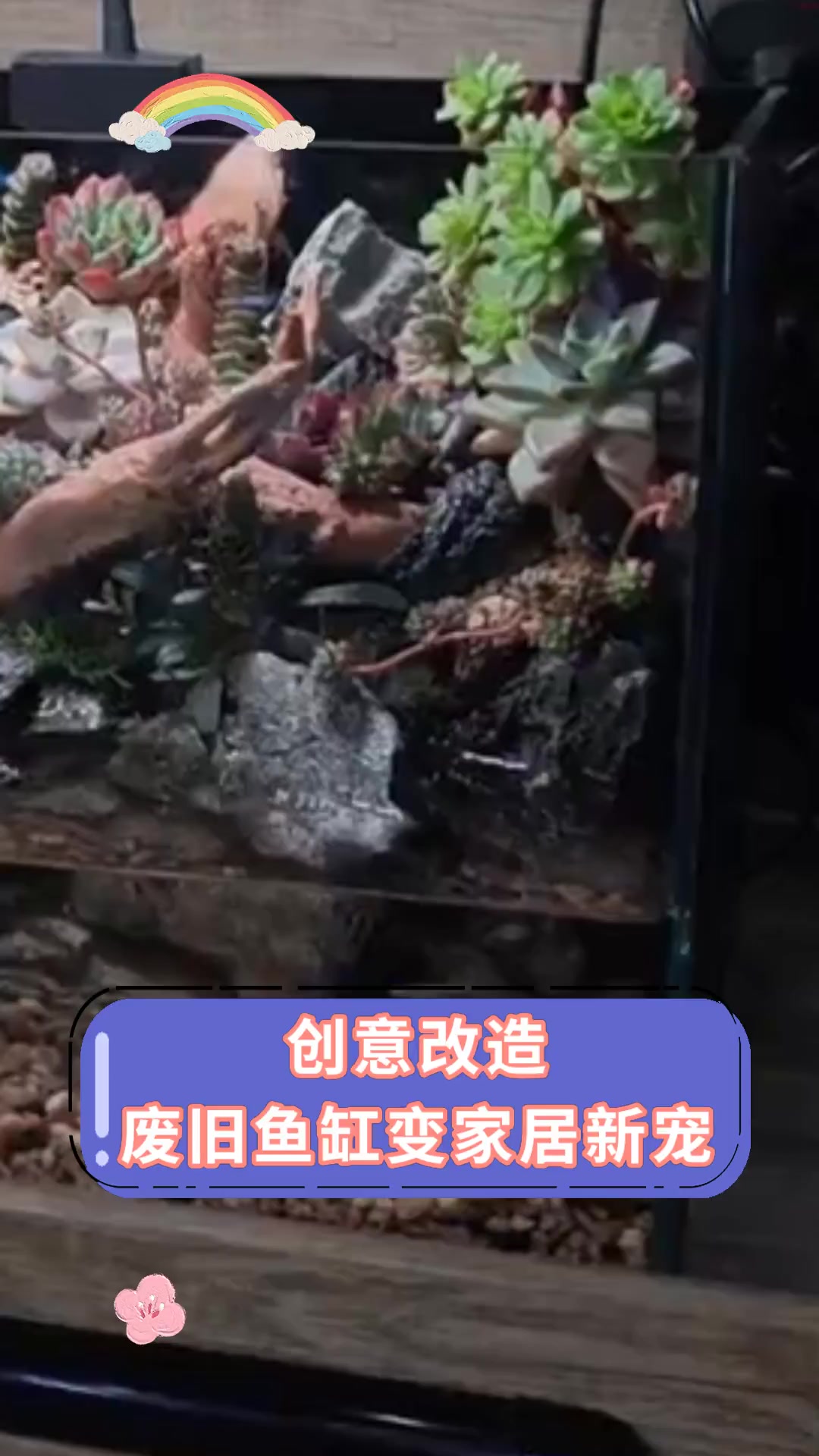 创意改造,废旧鱼缸变家居新宠