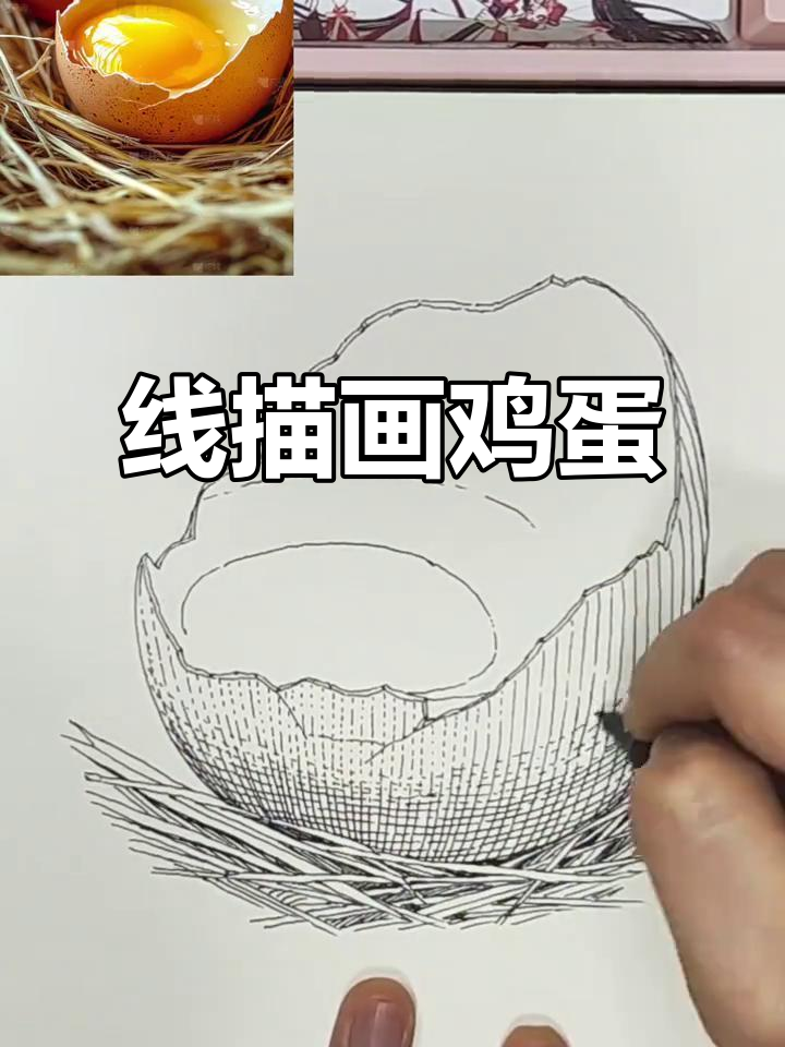手绘线描鸡蛋，简单又有趣