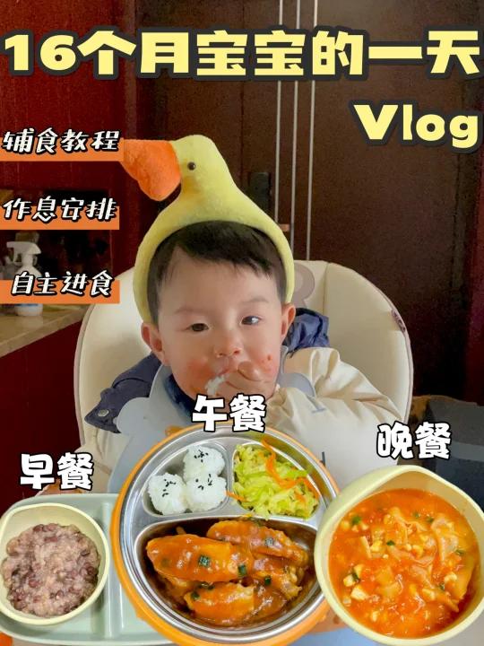 16个月宝宝的一天日常vlog辅食|作息|绘本