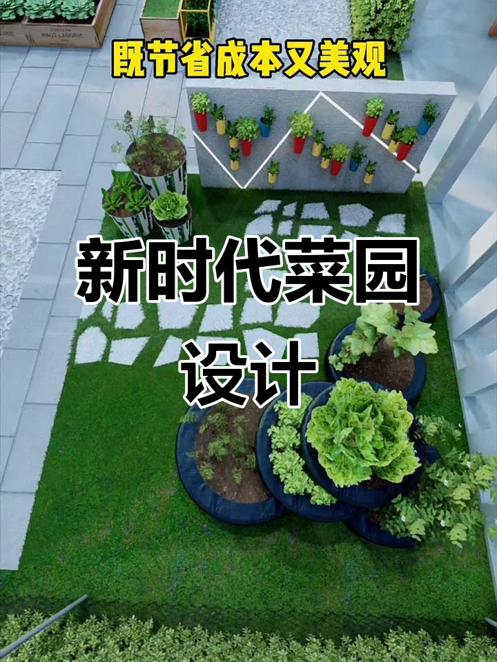 2022年菜地新设计，邻居都羡慕不已！
