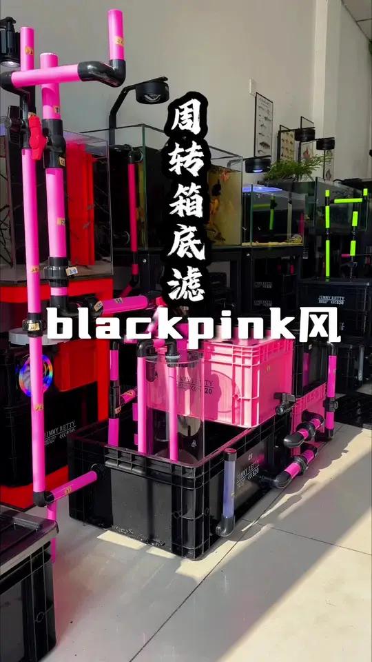 又甜又飒!BLACKPINK风黑粉搭配!底滤箱的不同玩法!摆哪都是c位!