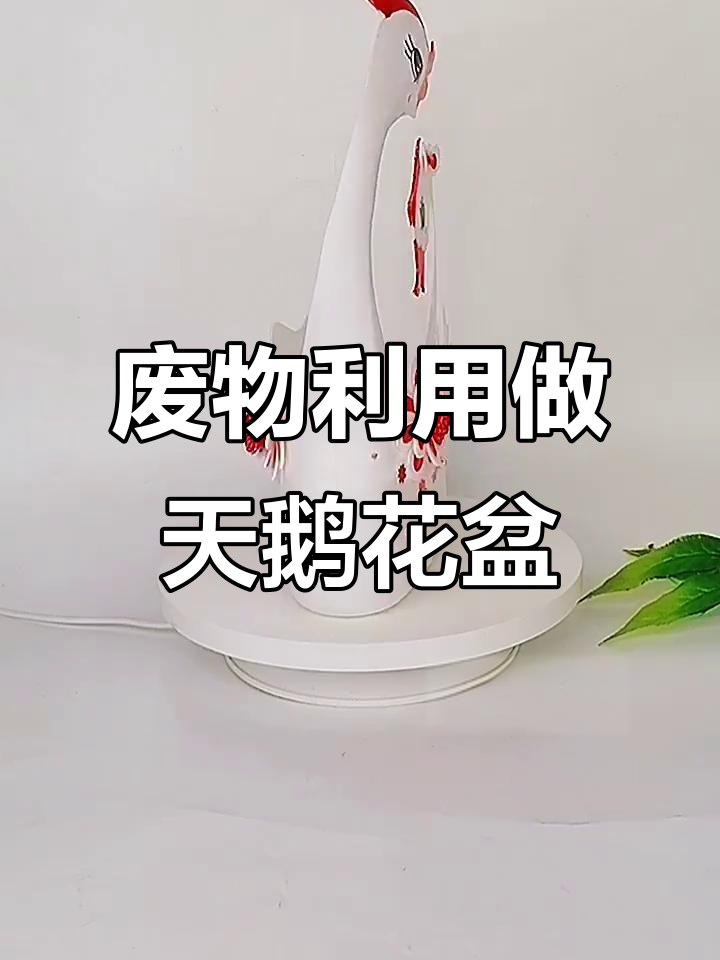 用废旧洗衣液瓶变身天鹅花盆，简单步骤教你雕刻技巧