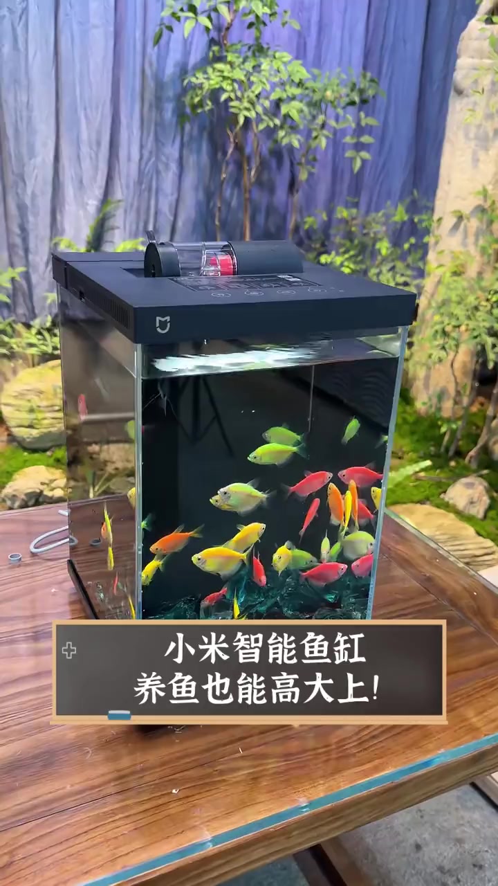 小米智能鱼缸,养鱼也能高大上!