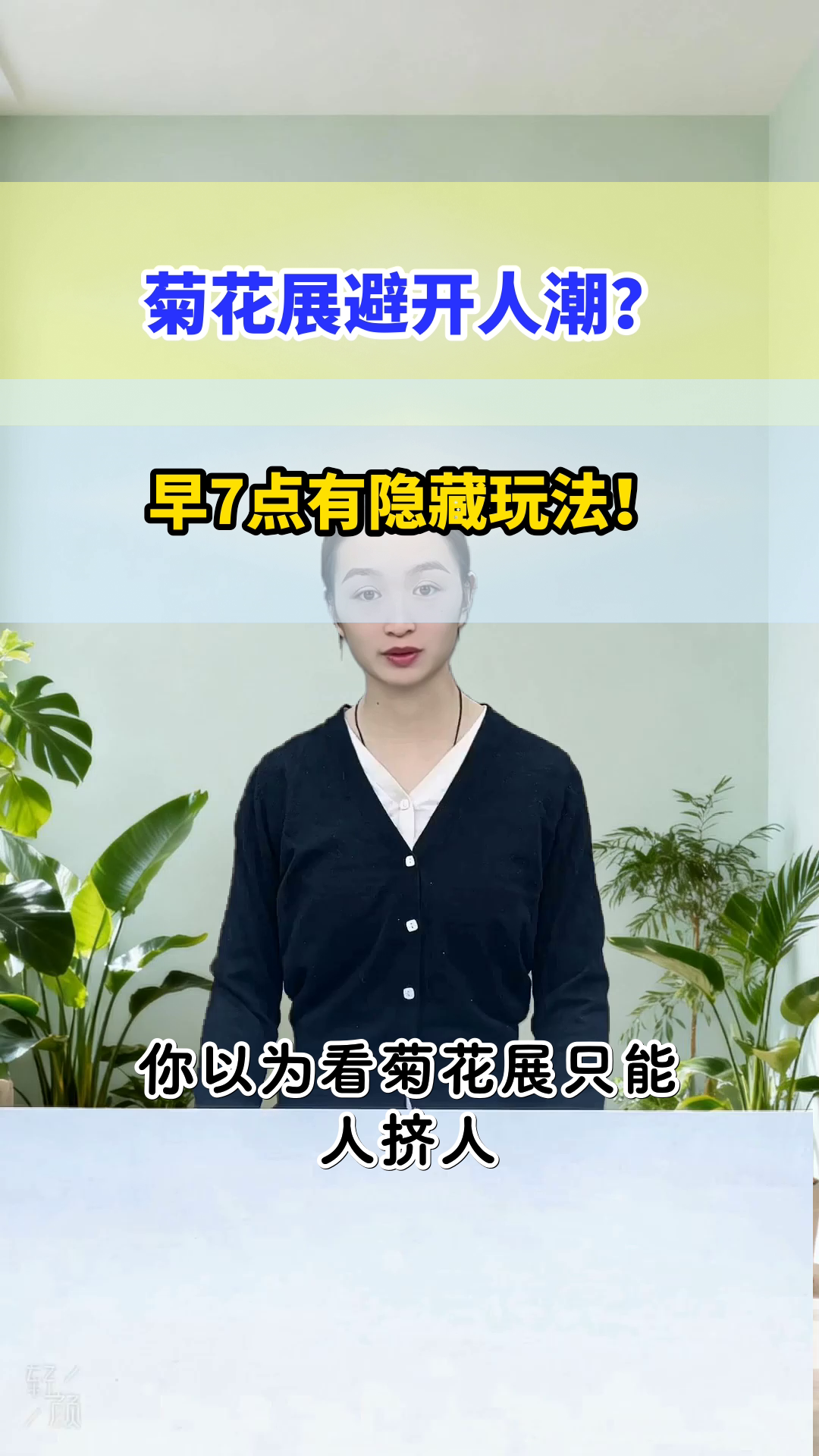 2026开封菊花展，避开人潮攻略锁死！