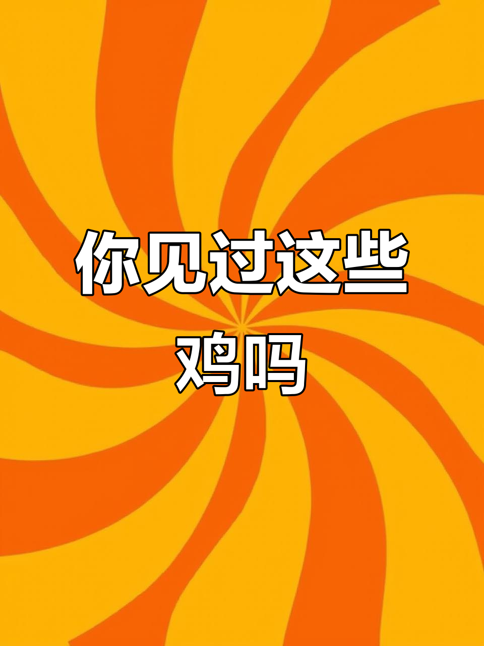 20种不同品种的鸡,看看你认识几种?