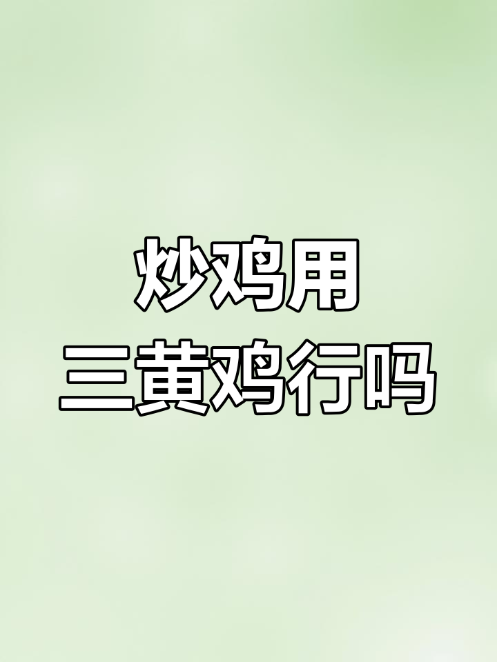 做炒鸡能用三黄鸡吗?选哪种鸡肉最合适