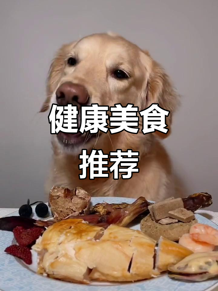 今日菜单:鸡胸肉、海鲜与水果,营养丰富又美味!