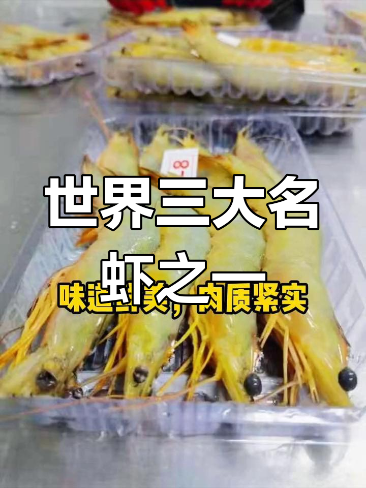 明虾:海鲜中的佼佼者