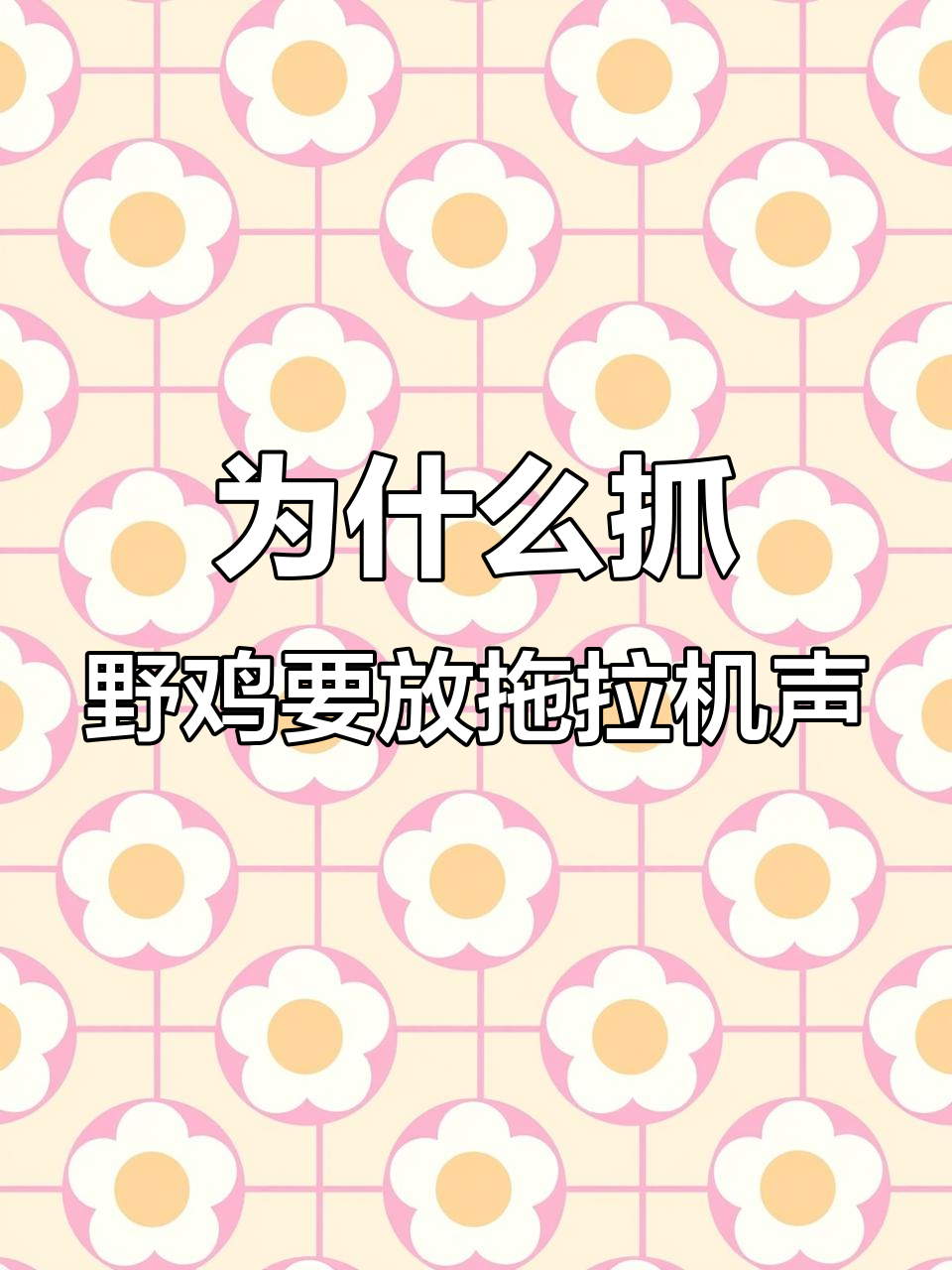 越南深夜捕捉野鸡,拖拉机声音背后的秘密