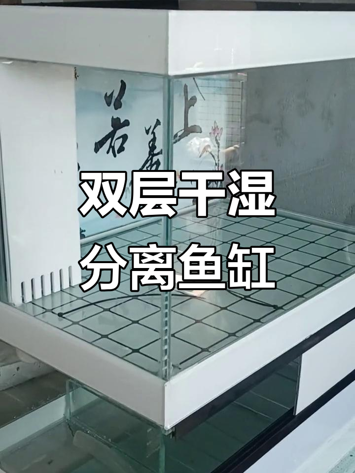 60长一体底滤鱼缸,双层干湿分离设计,过滤效果超强