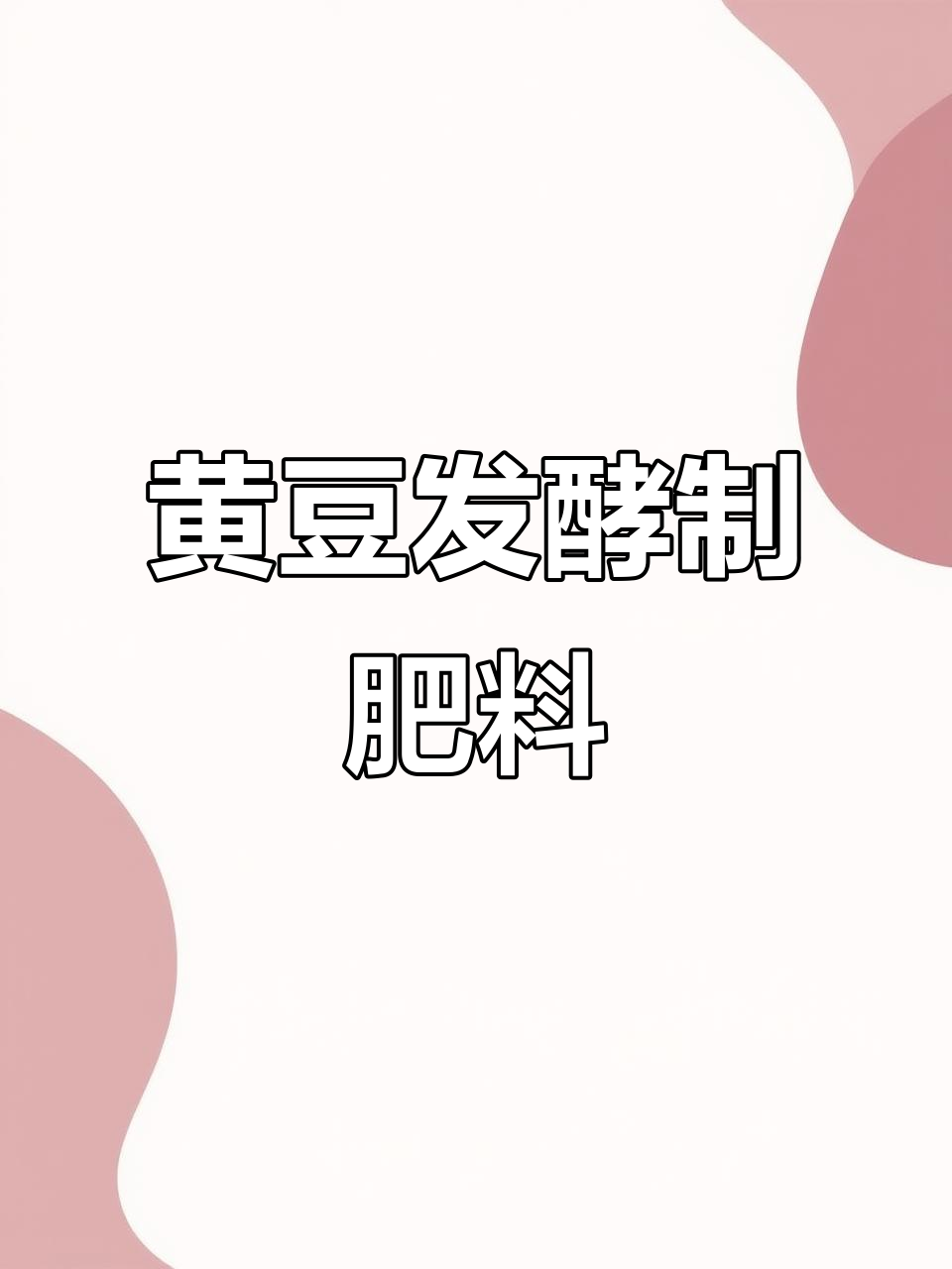 用黄豆发酵做有机肥,简单又实惠