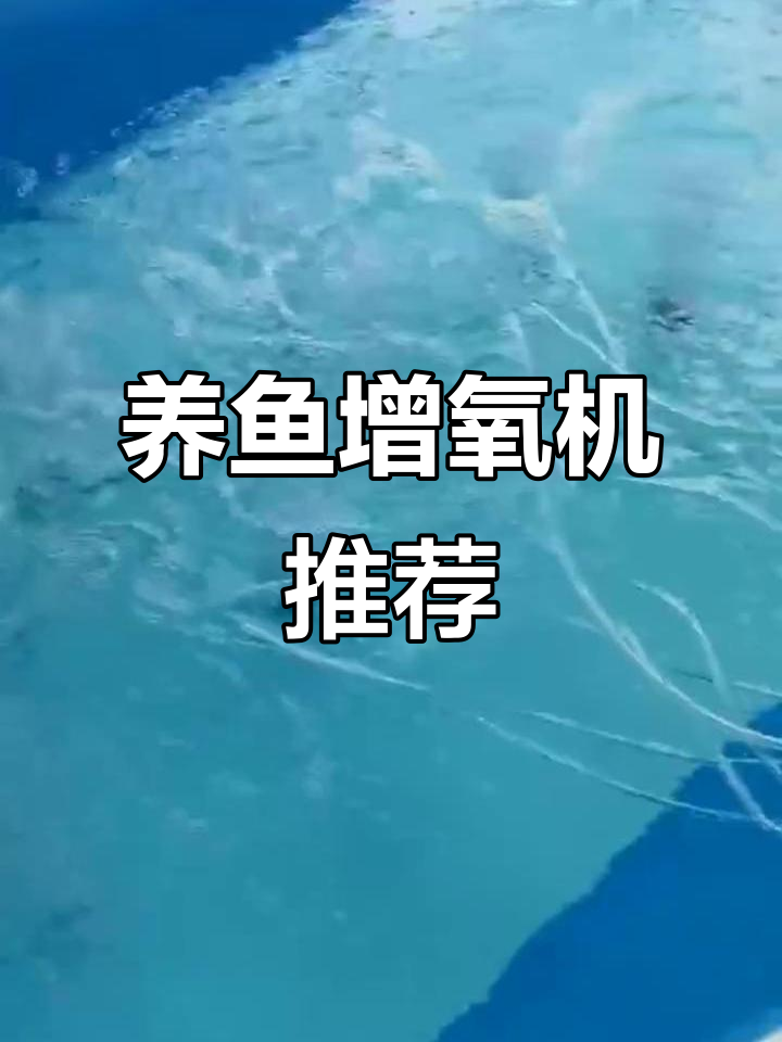 卖鱼、钓鱼、养鱼必备增氧机，让水族生活更健康
