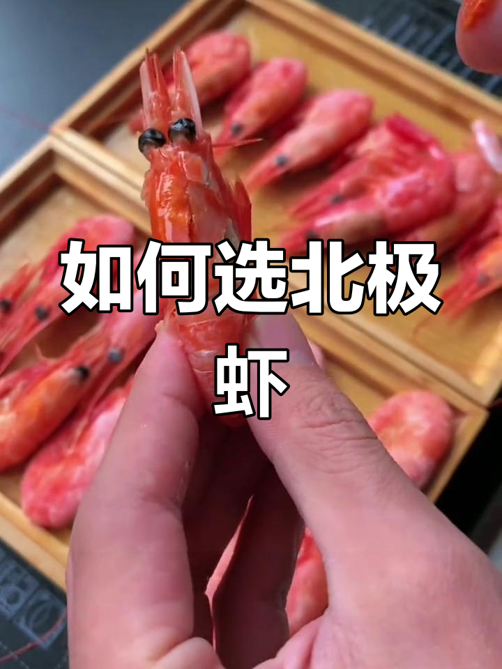 北极虾头子与父子虾大比拼,哪个更值得入手?