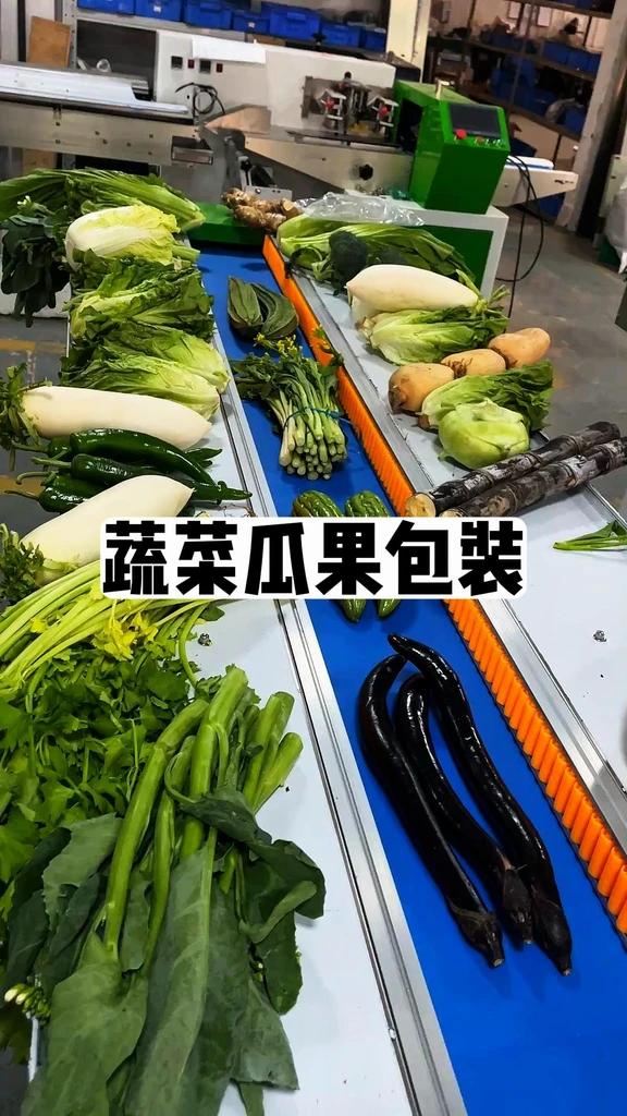蔬菜青菜包装机 各种青菜瓜果类打包