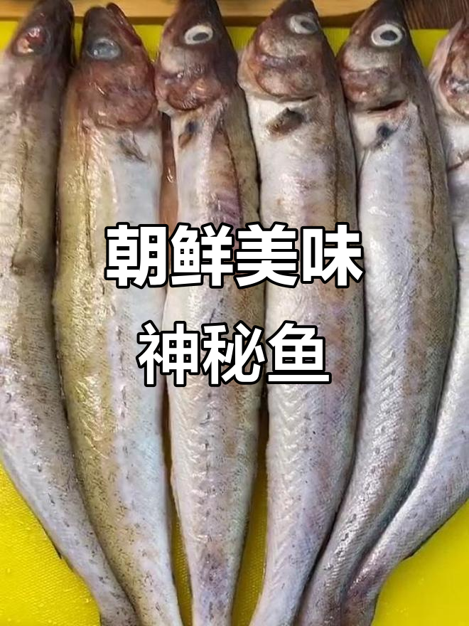 朝鲜特产神秘鱼,鲜嫩无比但名字难倒众人