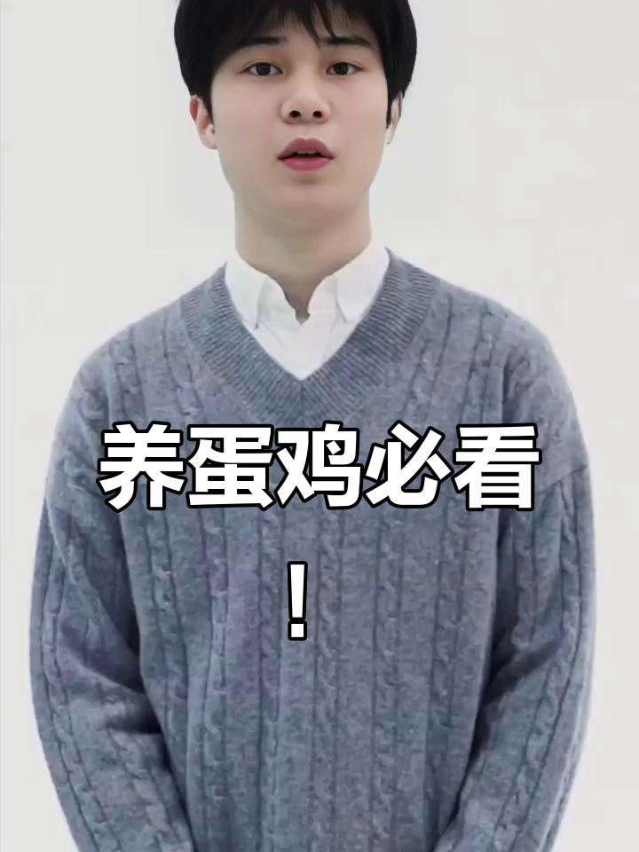 蛋鸡饲料配方大揭秘:如何避免薄壳软壳,提高产蛋率