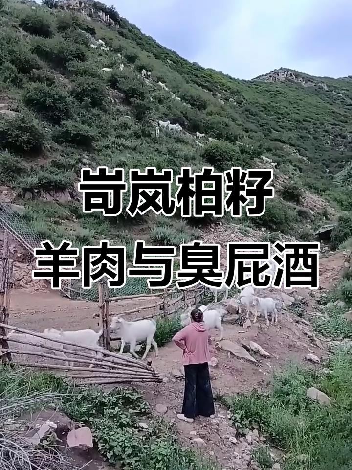 岢岚柏籽羊肉，臭屁酒也能让你笑出声