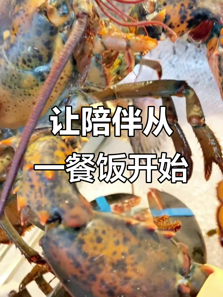 父亲节带爸爸来日光隔,波士顿龙虾大餐送上祝福