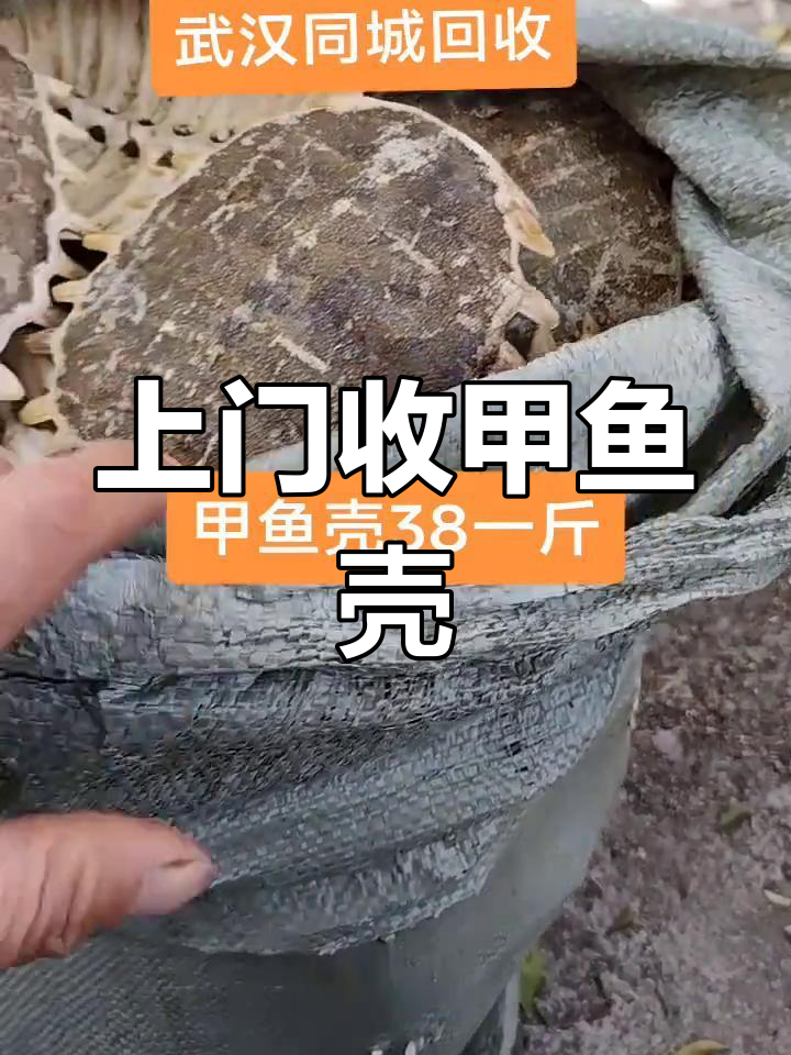 甲鱼壳回收、中药材上门服务,老年手机也能换钱