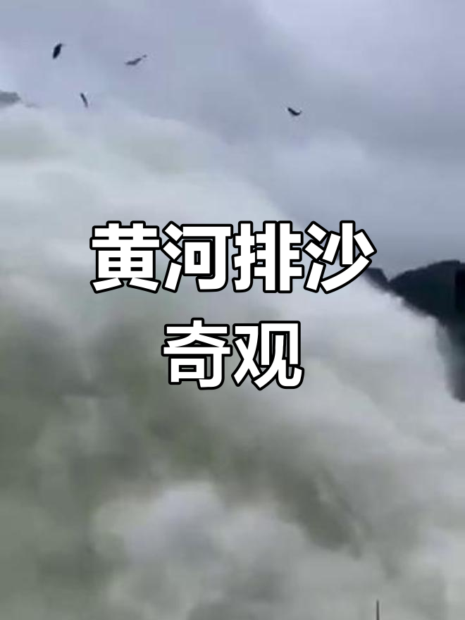 小浪底排水沙,飞鱼腾空,震撼场面令人惊叹!