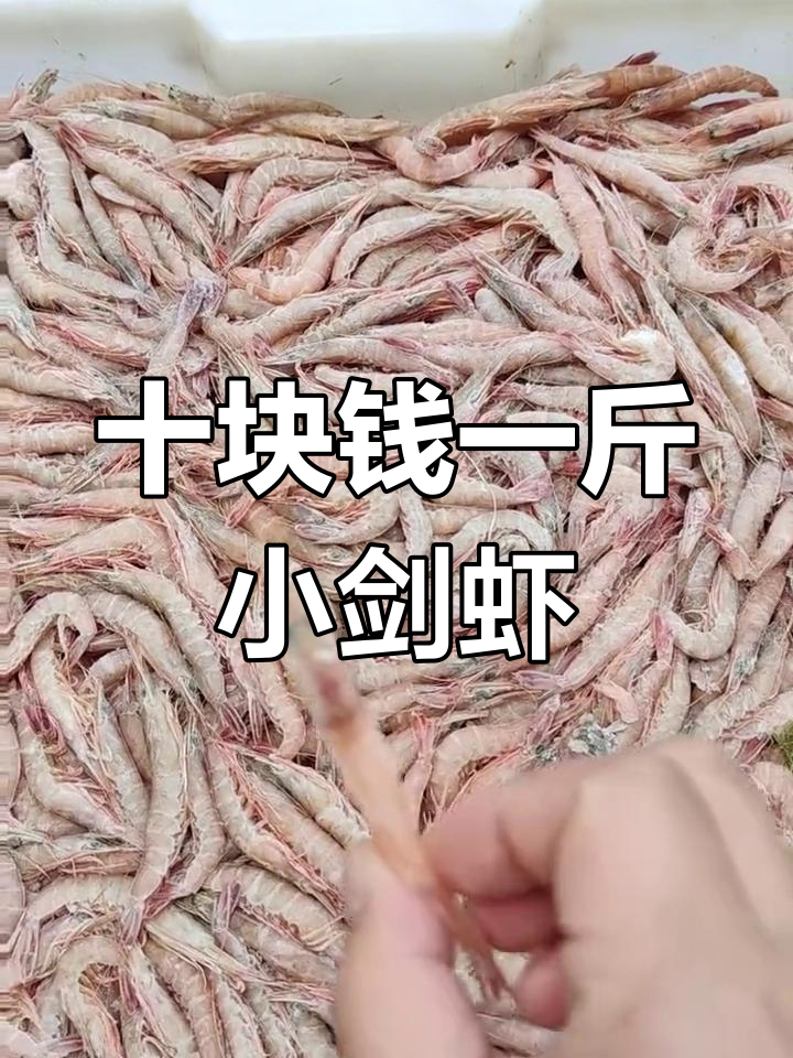 10元一斤的迷你剑虾,品质如何?