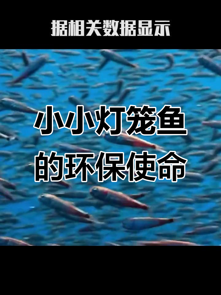 灯笼鱼如何通过迁徙为地球降温?深海中的“消防员”