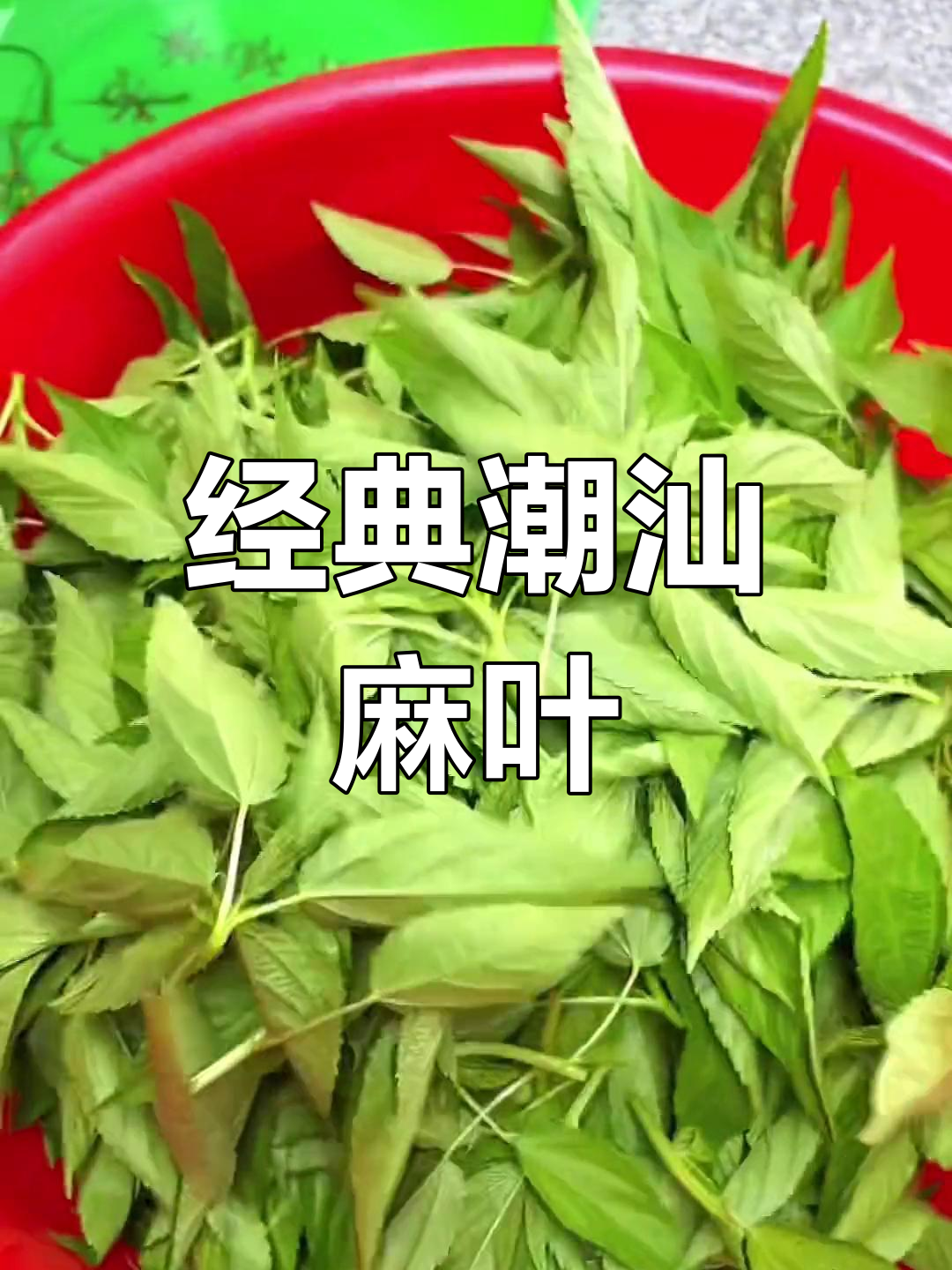 潮汕麻叶的独特美味,40年不变