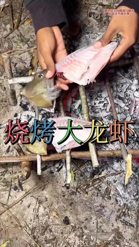 今天我们荒岛求生,抓到几只龙虾,后来把它做成烧烤龙虾,味道真的太鲜了