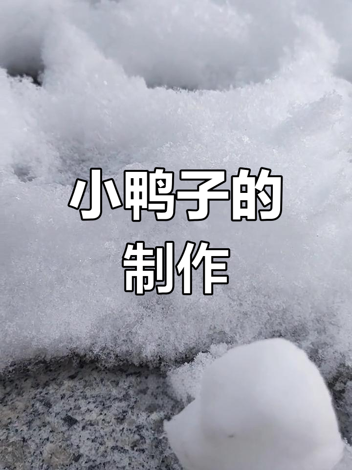 捏制小鸭子雪人