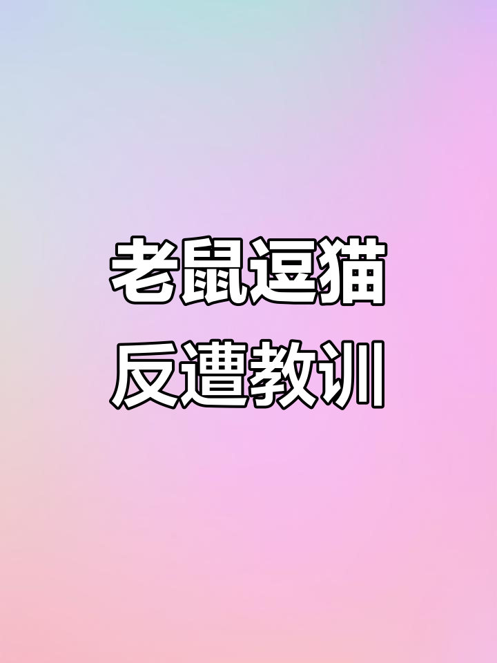 老鼠挑衅猫咪,结果被秒成“表情包”