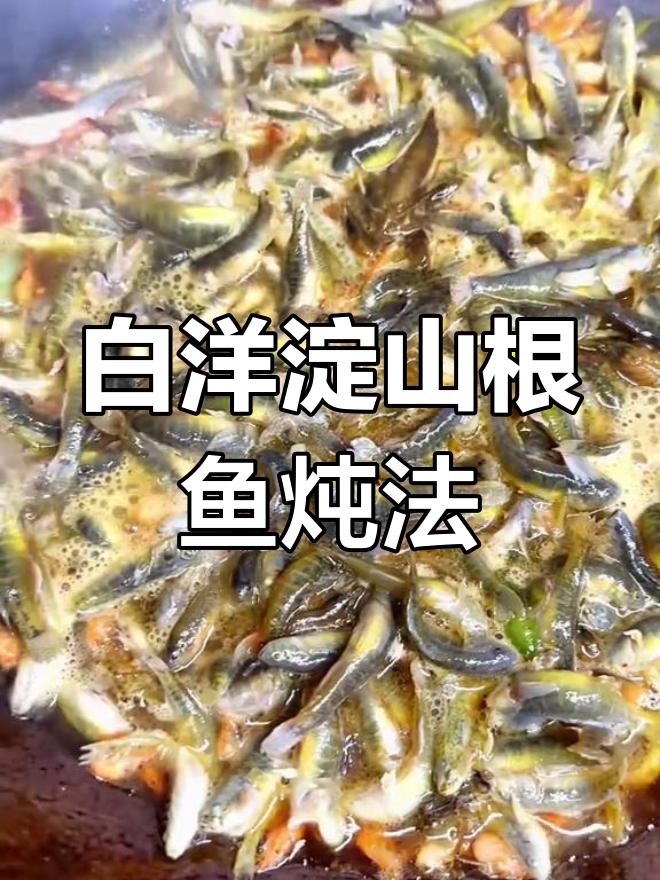 大铁锅炖白洋淀山根鱼,味道鲜美