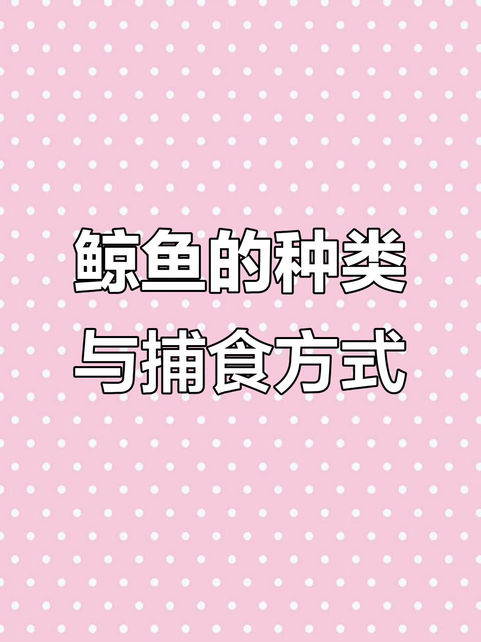 鲸鱼大揭秘:蓝鲸、虎鲸和齿鲸的秘密