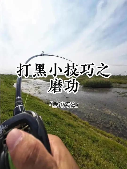 打黑最重要的是什么?一个字磨!现在的黑鱼越来越不好钓了,都精的很,只要发现一条鱼,就要慢慢